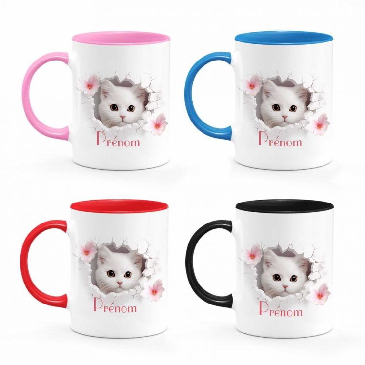 couleur-mug-chat-05